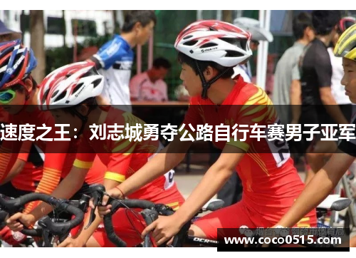 速度之王：刘志城勇夺公路自行车赛男子亚军