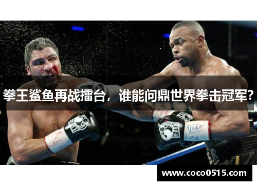 拳王鲨鱼再战擂台，谁能问鼎世界拳击冠军？